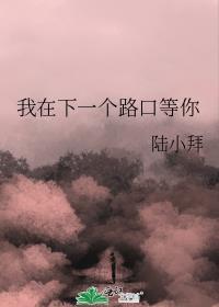 我在下一个路口等你