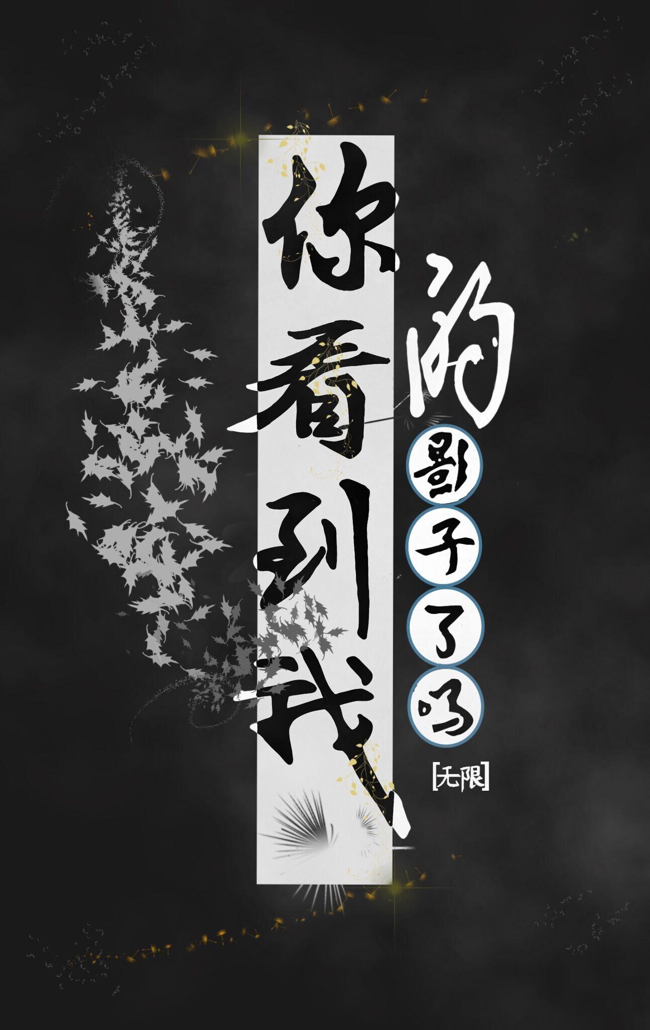 你看到我的影子了吗［无限］