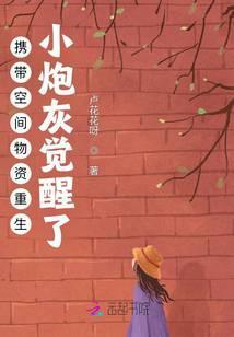 综武：读书成圣，以武犯禁