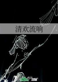 清欢流响