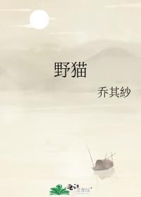 野猫