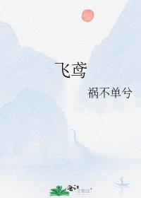 飞鸢