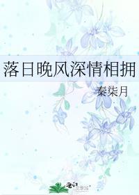 落日晚风深情相拥