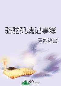 骆驼孤魂记事簿