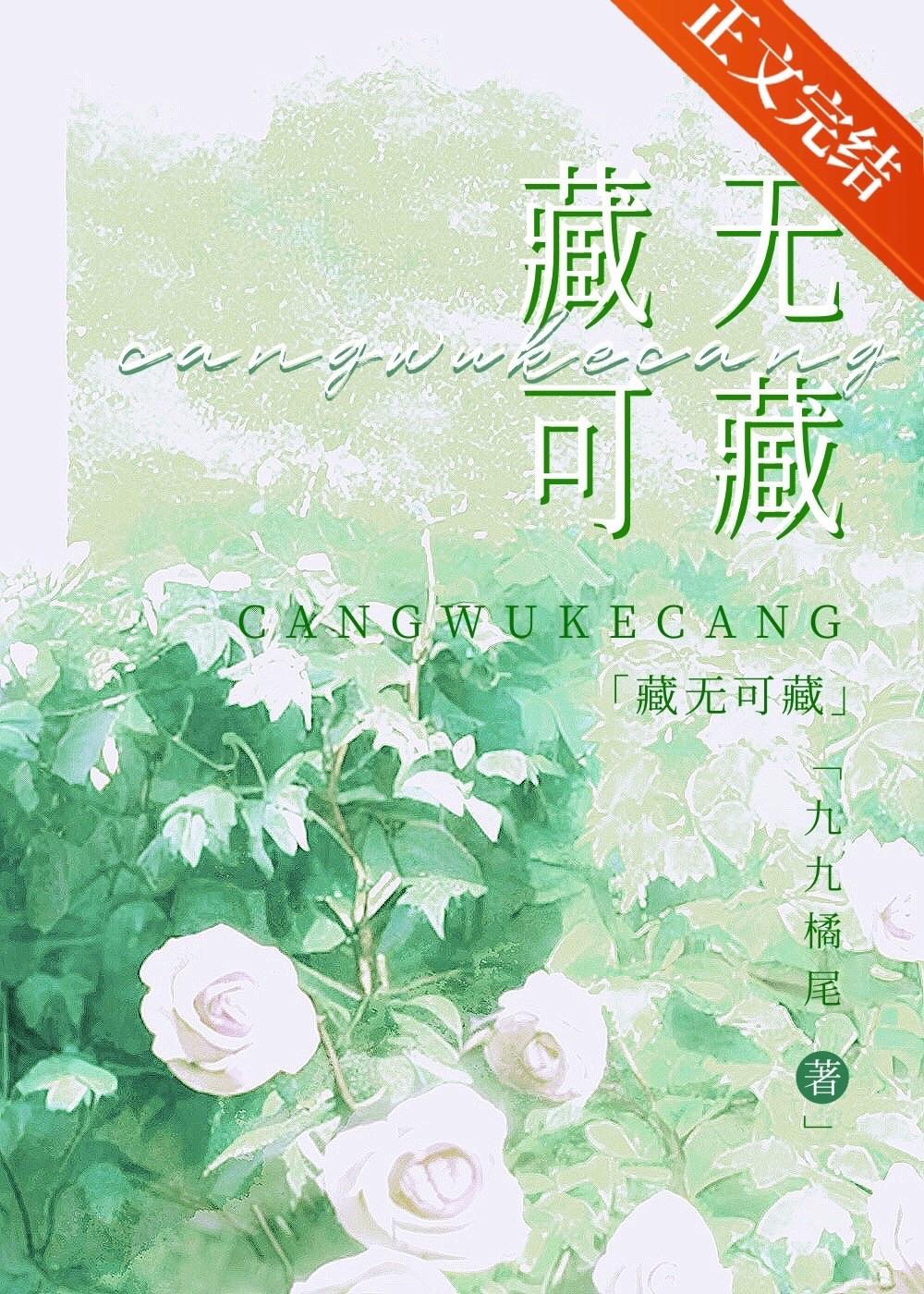 藏无可藏