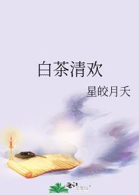 白茶清欢