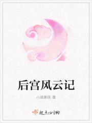 后宫风云记