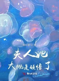 夫人她大概是顿悟了