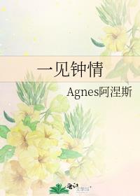 一见钟情