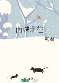 南城北往