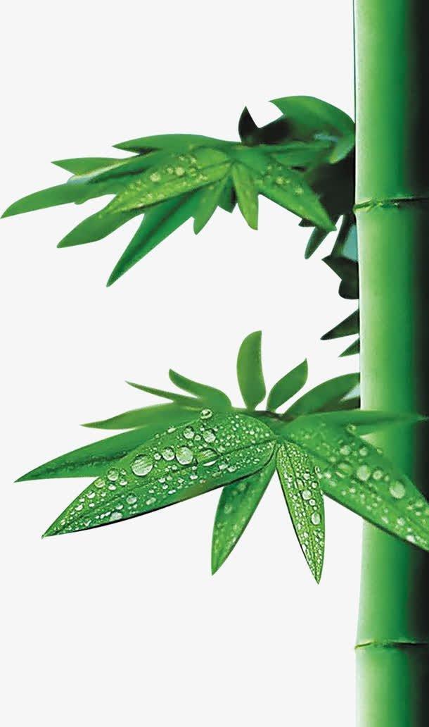 那些年,我们一起争夺的狱花
