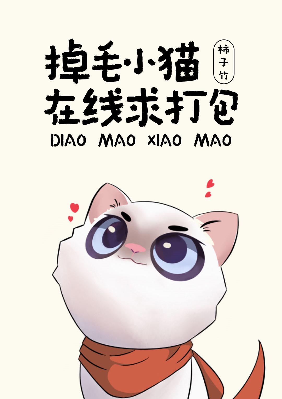掉毛小猫,在线求打包