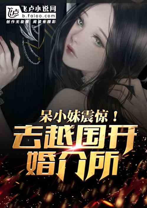 打击低配高价,我去越国开婚介所