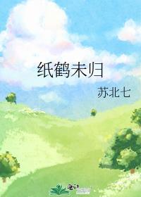 纸鹤未归