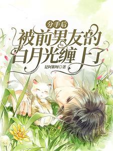 分手后，被前男友的白月光缠上了