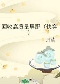 回收高质量男配[快穿]