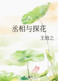 丞相与探花