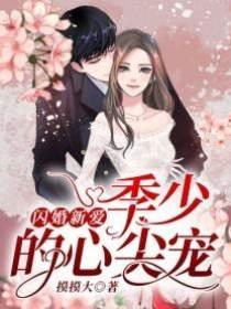 季少的心尖宠
