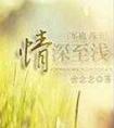 情深至浅(军旅高干)