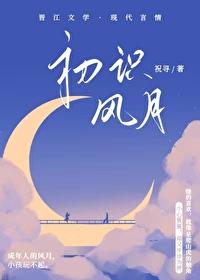 初识风月