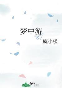 梦中游