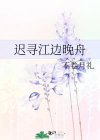 迟寻江边晚舟