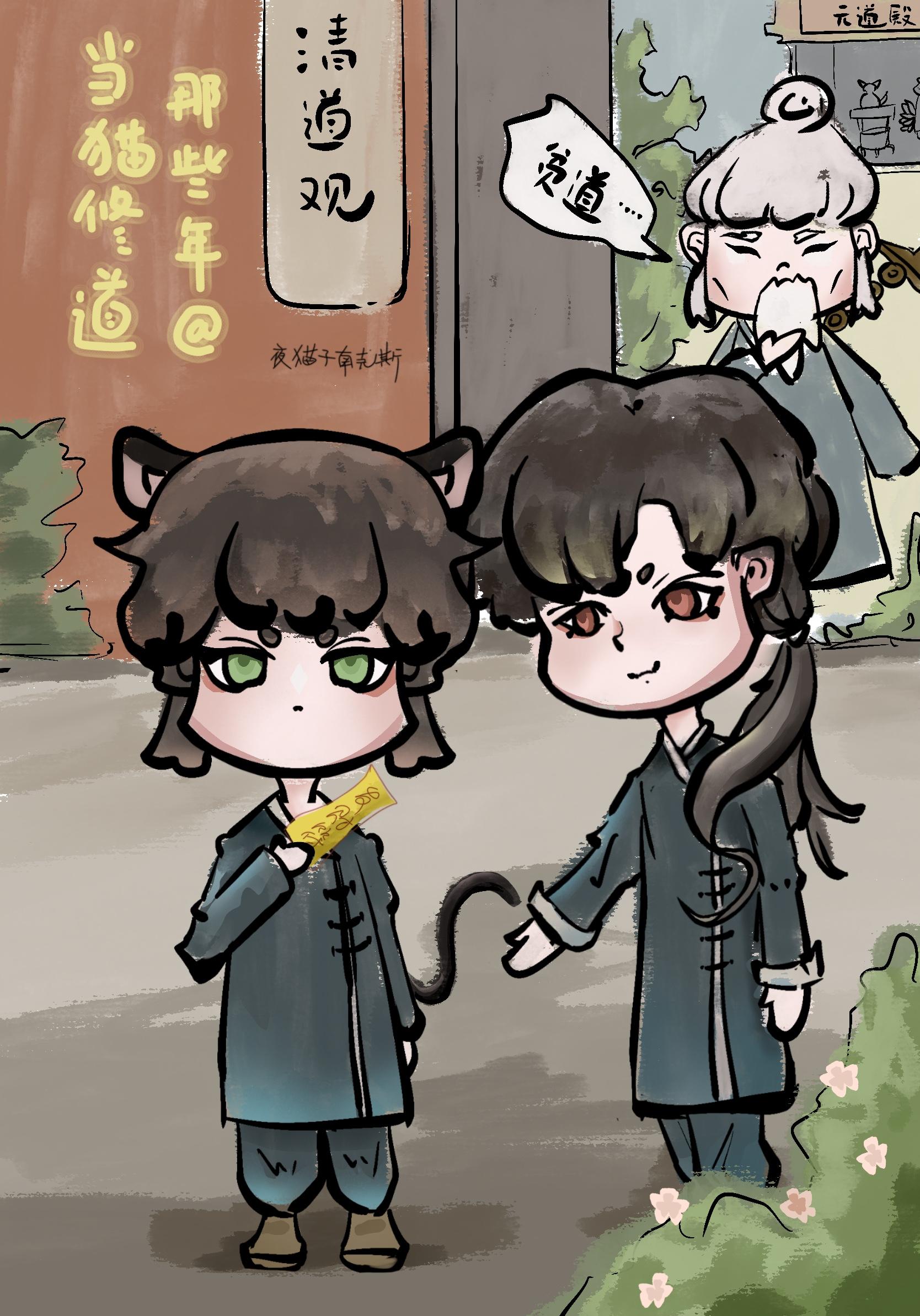 当猫修道那些年