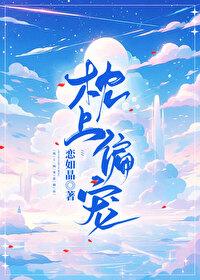 枕上偏宠