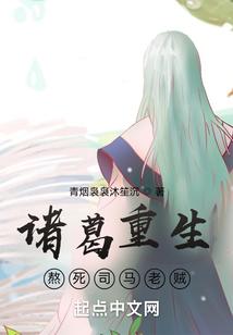 诸葛重生，熬死司马老贼