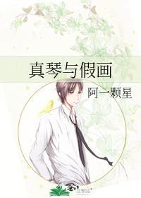 真琴与假画