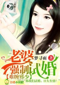 难缠邪少,老婆强制试婚