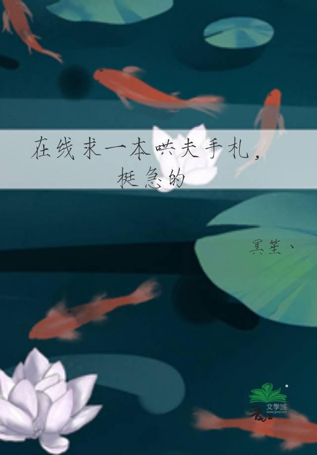 在线求一本哄夫手札，挺急的