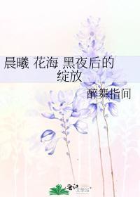 晨曦 花海 黑夜后的绽放