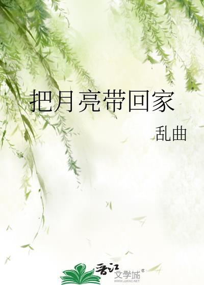 把月亮带回家