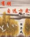 有朋自远方来