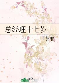 总经理十七岁!