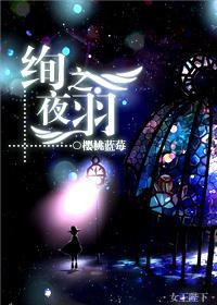 [魔法时刻]绚夜之羽