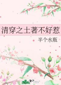 清穿之土着不好惹