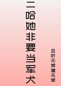 二哈她非要当军犬