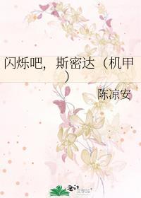 闪烁吧，斯密达（机甲）