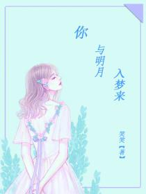 你与明月入梦来