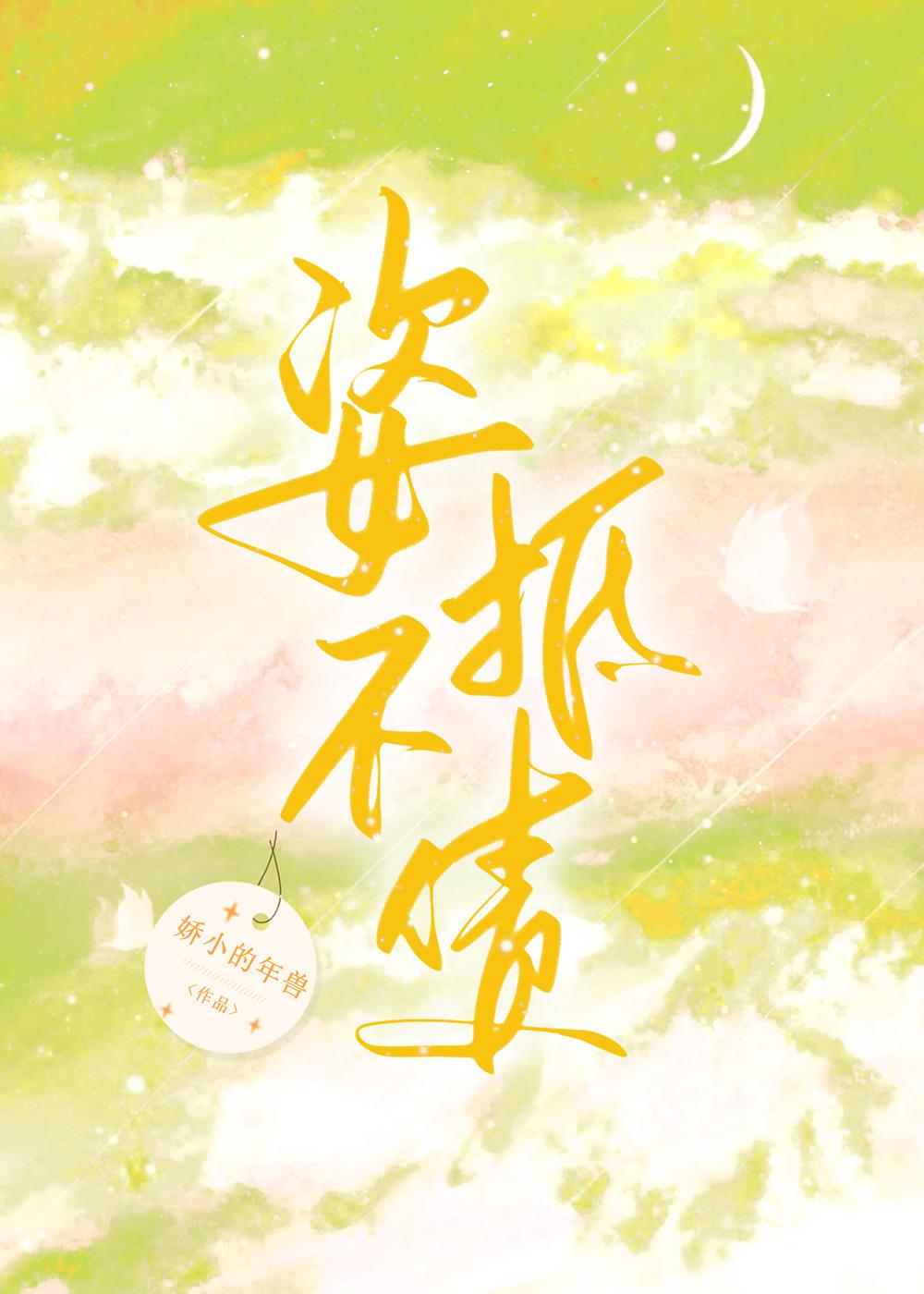 姿不抵债