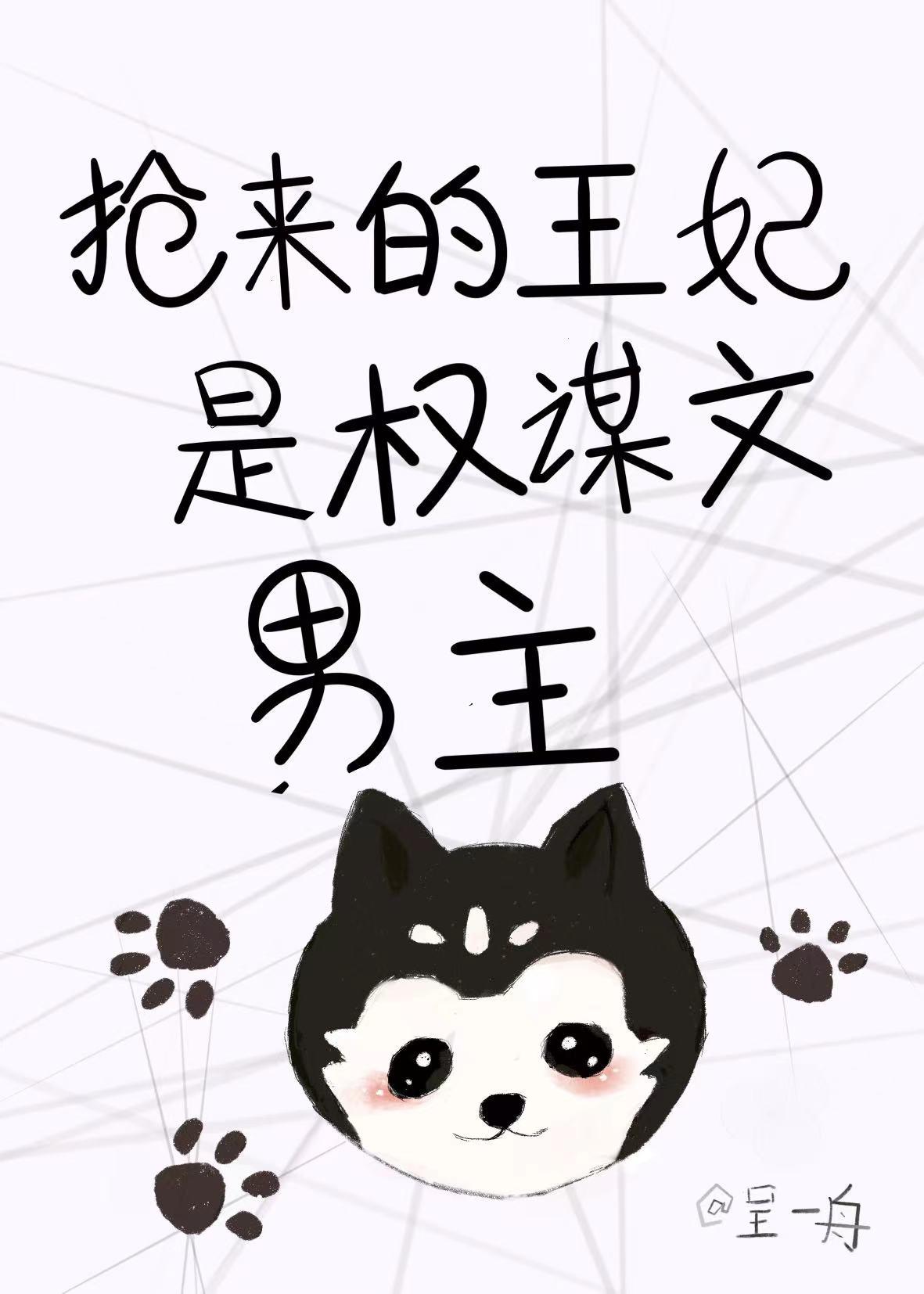 抢来的王妃是权谋文男主