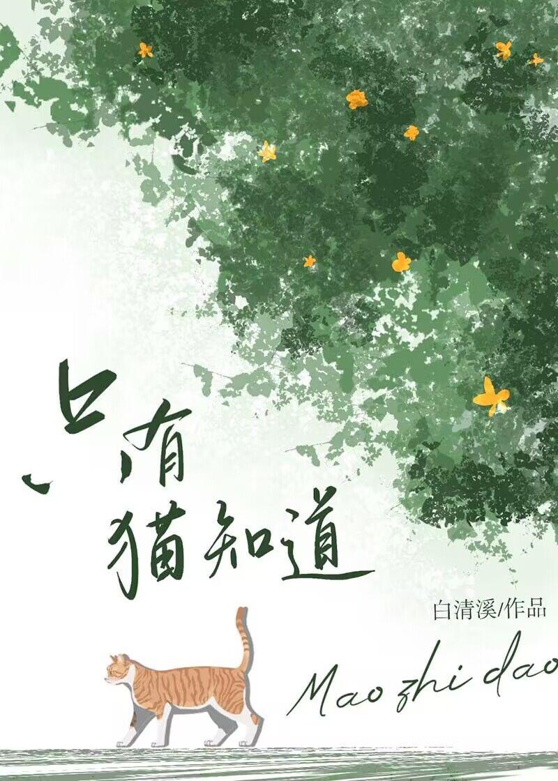只有猫知道