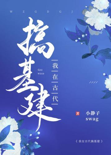 我在古代搞基建