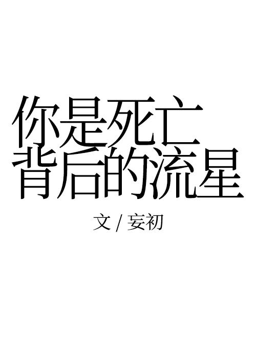 你是死亡背后的流星