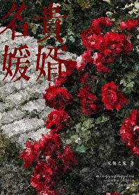 名媛贵婿[先婚后爱]