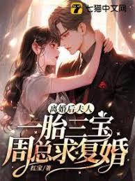 离婚后,夫人一胎三宝周总求覆婚