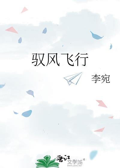 驭风飞行