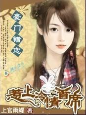 豪门错恋：惹上冷情首席